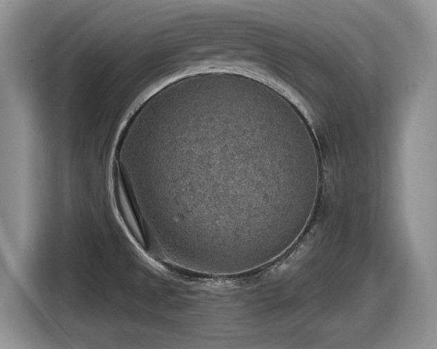 X0000116631525200912111207