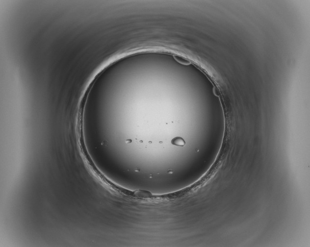 X0000116631526200912111207