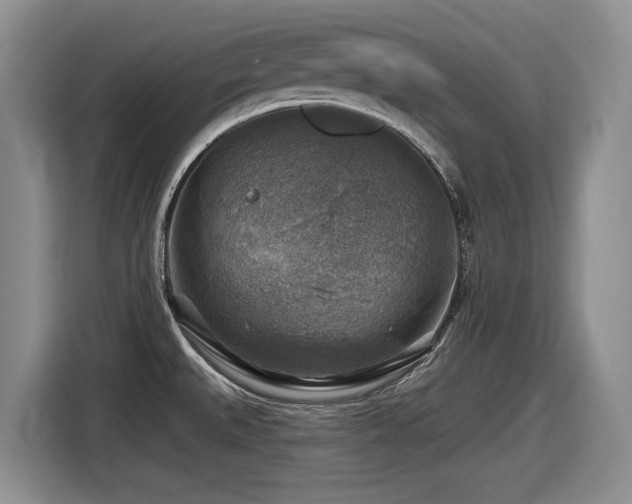 X0000116631527200912111207