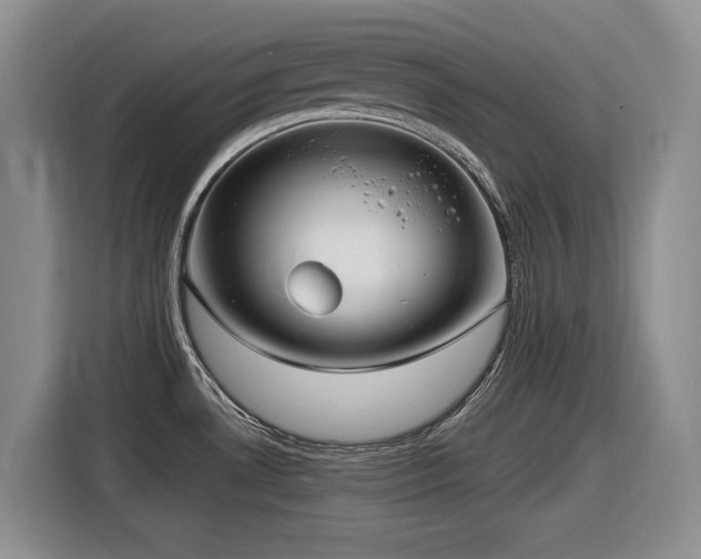 X0000116631530200912111207