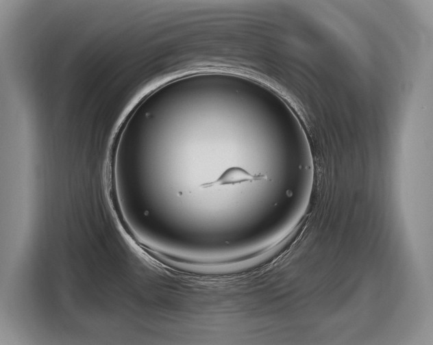 X0000116631531200912111207