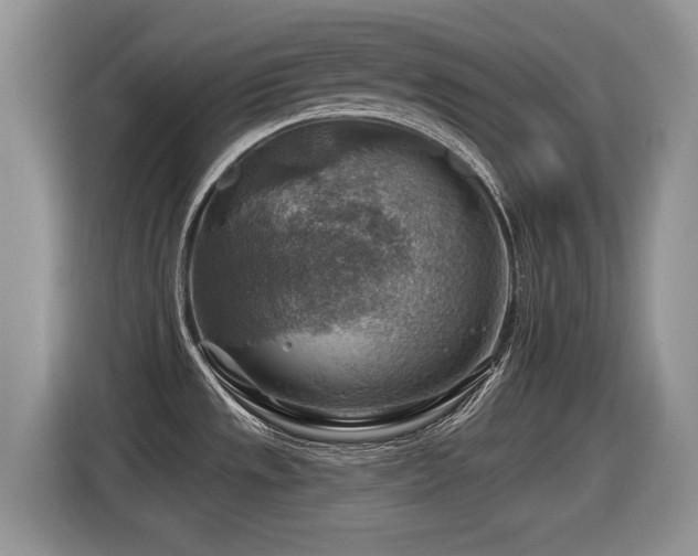 X0000116631533200912111207