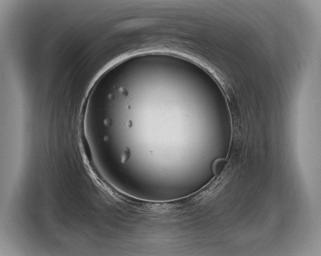 X0000116631534200912111207