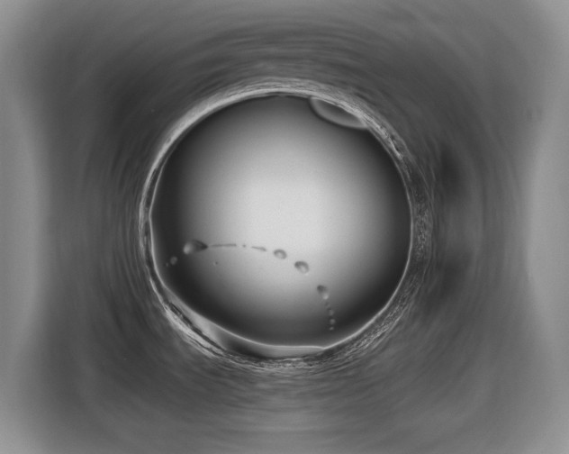 X0000116631535200912111207
