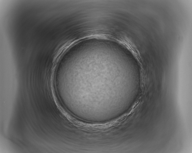 X0000116630001200912181334