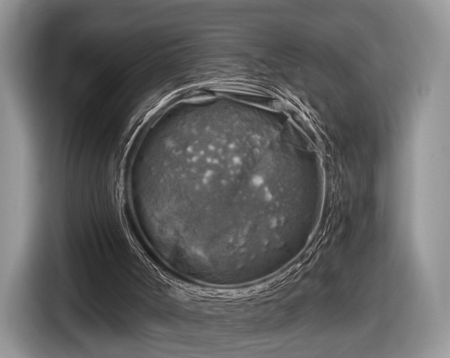 X0000116630002200912181334