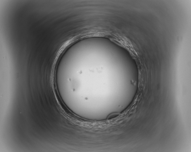 X0000116630003200912181334