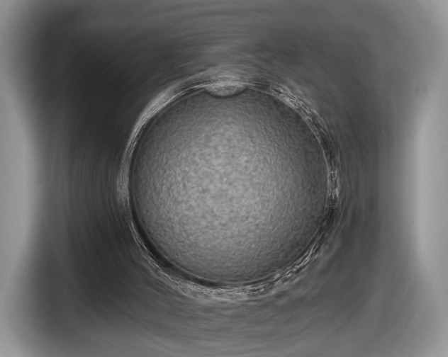 X0000116630004200912181334