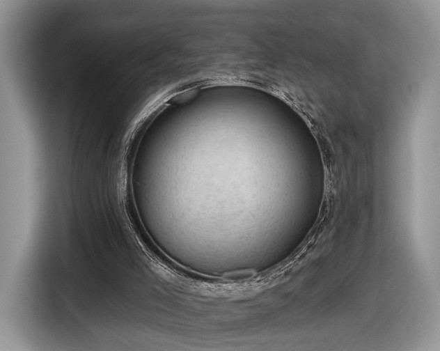 X0000116630005200912181334