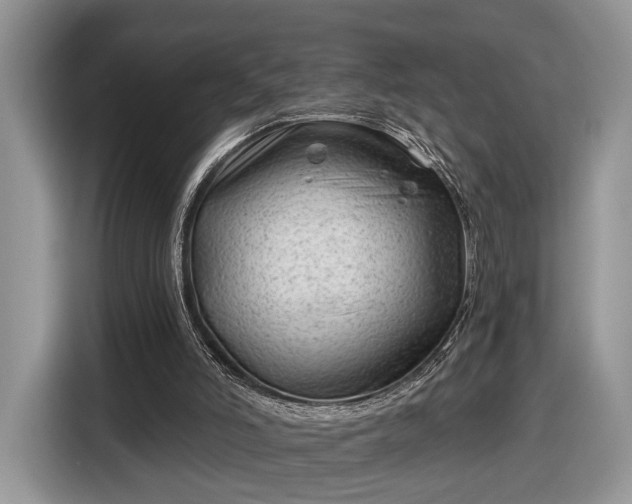 X0000116630006200912181334