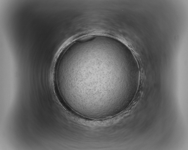 X0000116630007200912181334