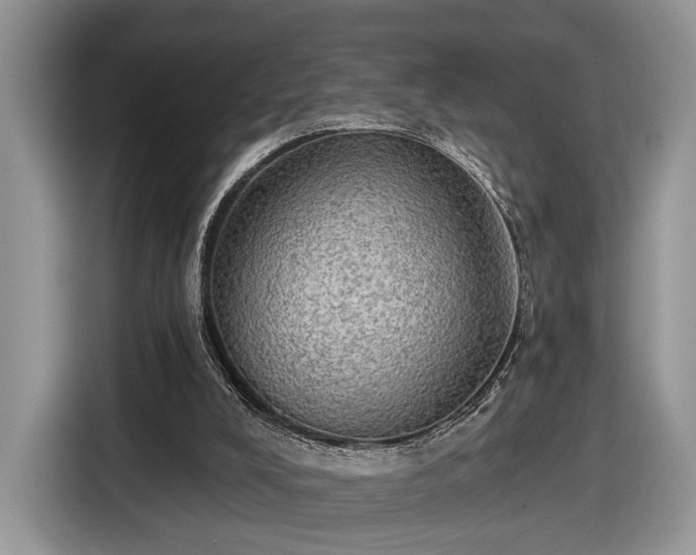 X0000116630008200912181334