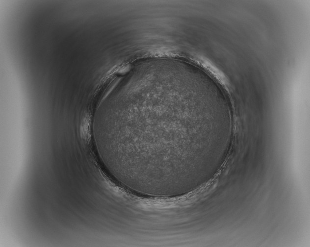 X0000116630009200912181334