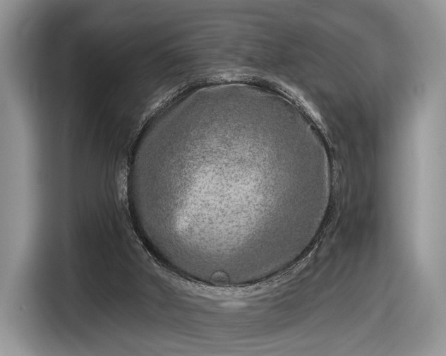 X0000116630010200912181334