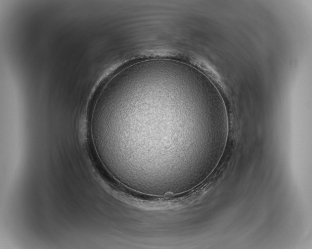 X0000116630012200912181334