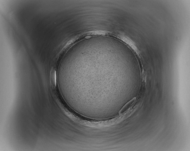 X0000116630013200912181334