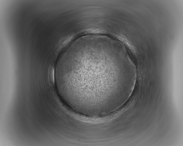 X0000116630014200912181334