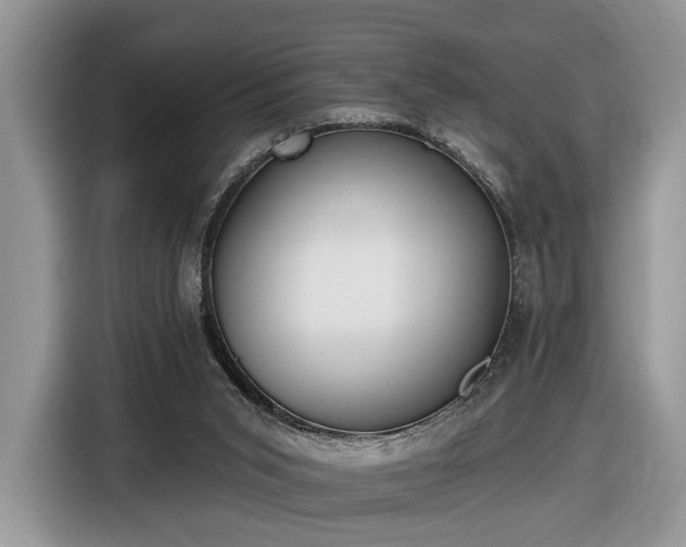 X0000116630015200912181334