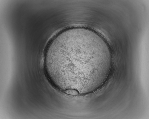 X0000116630016200912181334