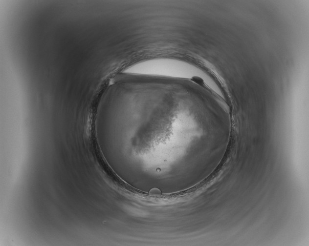 X0000116630018200912181334