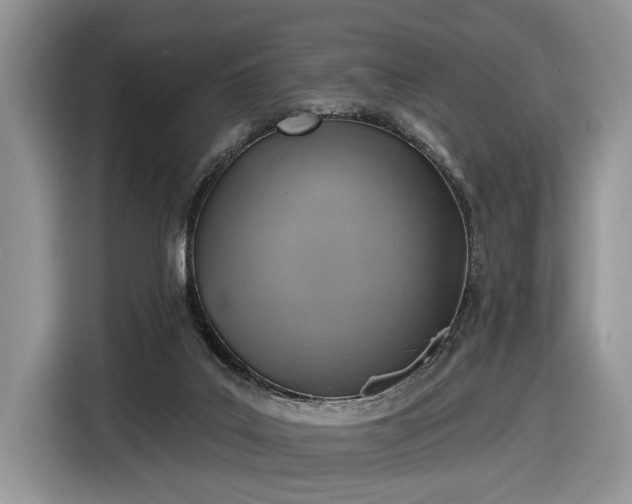 X0000116630019200912181334