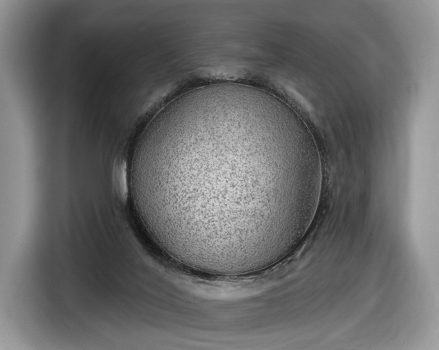 X0000116630020200912181334