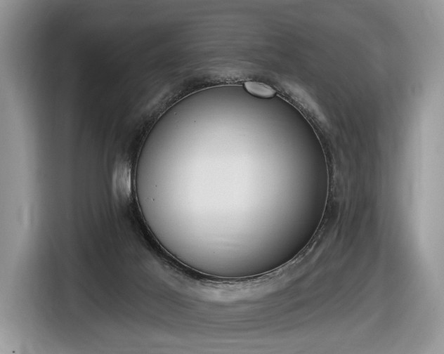 X0000116630021200912181334