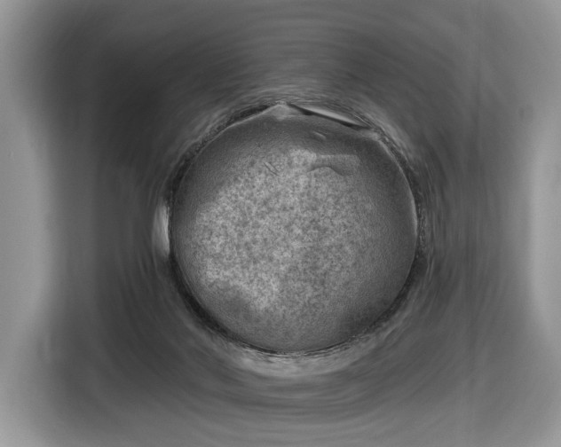 X0000116630022200912181334