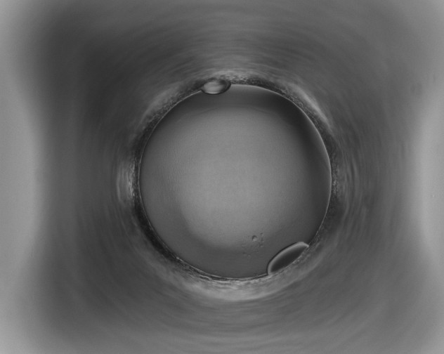 X0000116630023200912181334