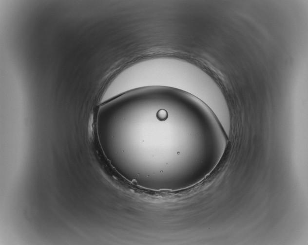 X0000116630024200912181334