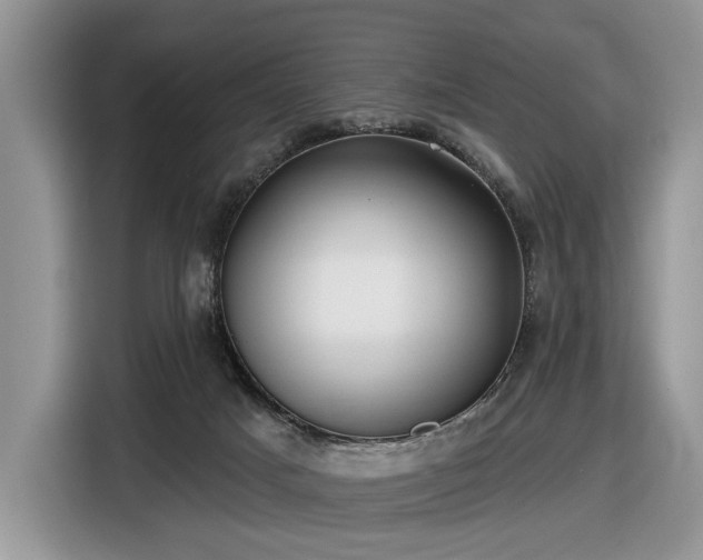 X0000116630025200912181334