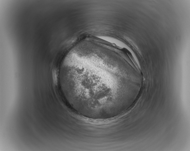 X0000116630026200912181334