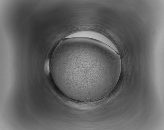 X0000116630028200912181334