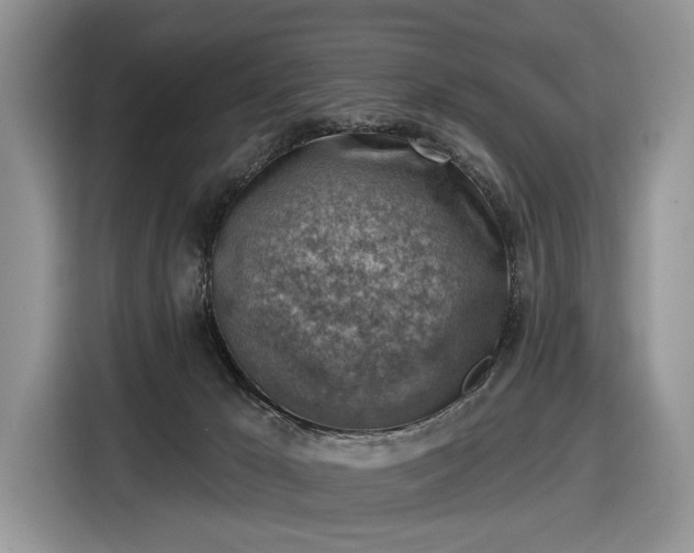 X0000116630029200912181334