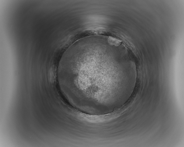 X0000116630030200912181334