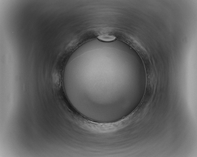 X0000116630031200912181334