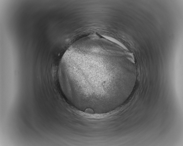 X0000116630034200912181334