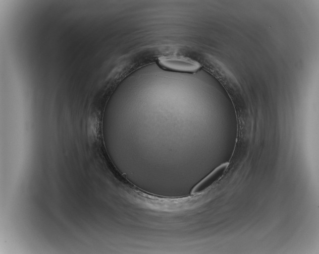 X0000116630035200912181334