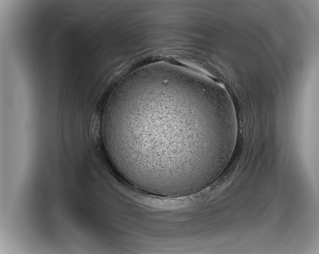 X0000116630036200912181334