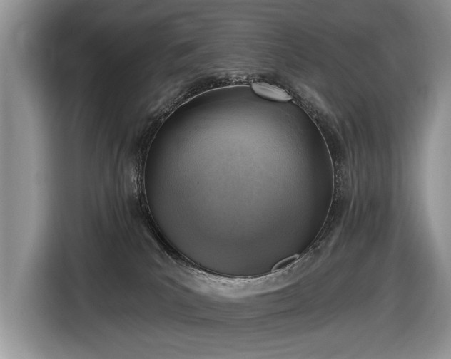 X0000116630039200912181334