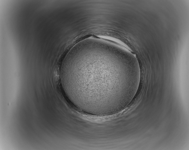 X0000116630040200912181334