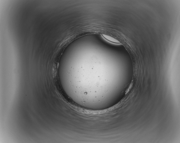 X0000116630043200912181334