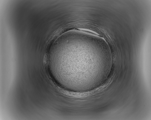 X0000116630044200912181334