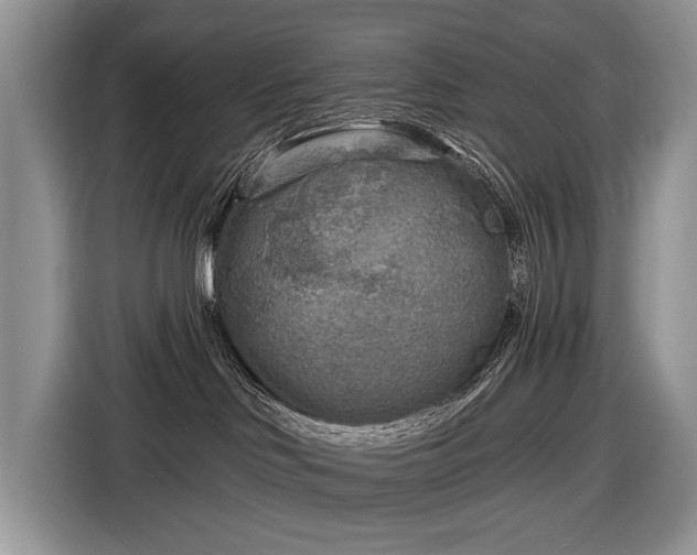 X0000116630046200912181334