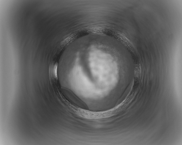 X0000116630047200912181334