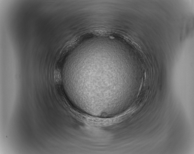 X0000116630048200912181333