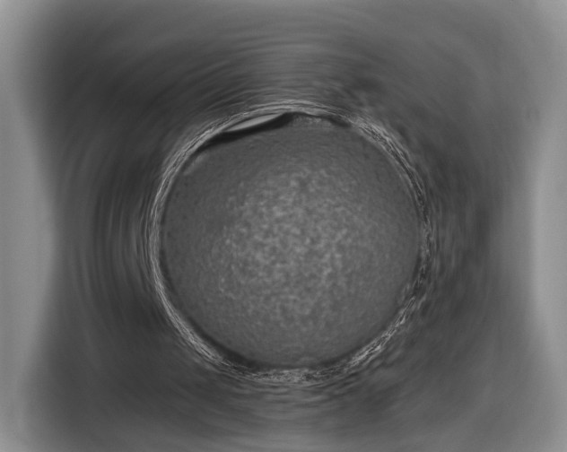 X0000116630049200912181333