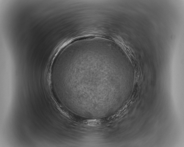 X0000116630050200912181333