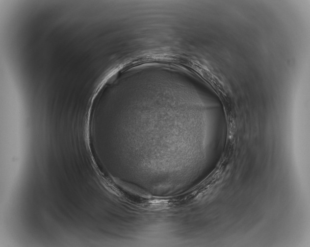 X0000116630052200912181333