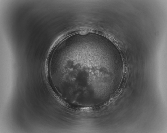 X0000116630053200912181333